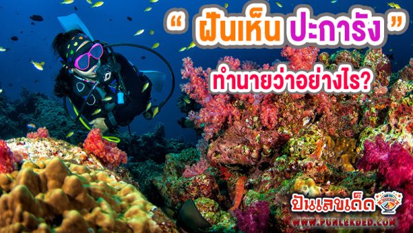 ฝันเห็นปะการัง -"Dreaming about snorkeling"