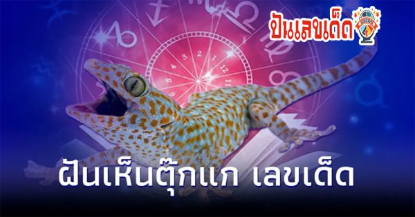 ฝันเห็นตุ๊กแกกระโดดใส่ -"Dreaming of a gecko jumping on an island."
