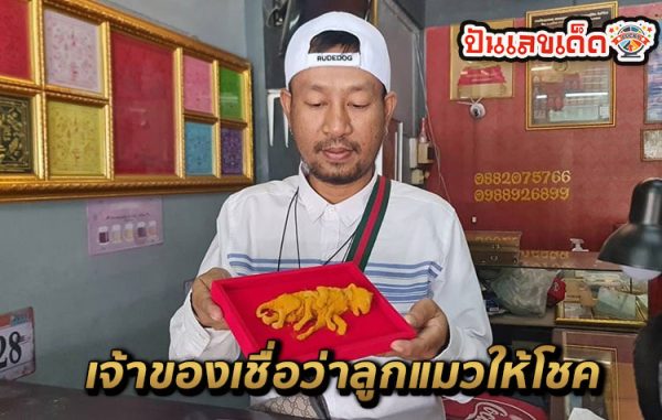 ดูยังไงว่าแมวใกล้คลอด-"How can you tell if your cat is about to give birth"