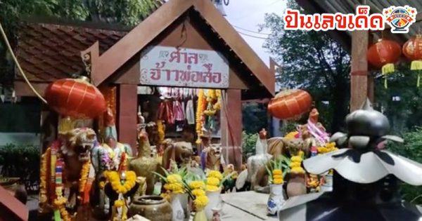 ฝันว่าไปไหว้ศาลเจ้าพ่อเสือ-"I dreamed that I went to worship at the Tiger God Shrine."