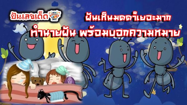 ฝันเห็นมดดําเยอะมาก - "I dreamed. that I saw a lot of black ants."