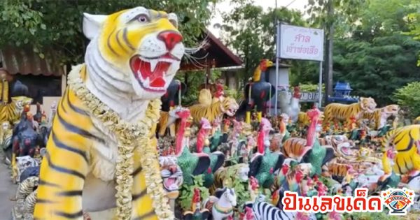 เลขเด็ด ศาลเจ้าพ่อเสือ-"Lucky numbers from the Tiger God Shrine"