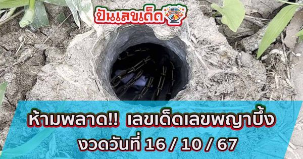 มาแล้ว ส่องเลยเลขเด็ด เลขพญาบึ้ง 16 10 67 แนวทางหวยรัฐบาลไทย !! ติดตามเลขเด็ด เเม่นๆ ก่อนใคร ได้ที่นี่!