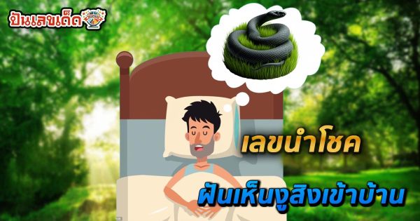 ฝันเห็นงูสิงเข้าบ้าน-"Dream of seeing a snake enter the house"