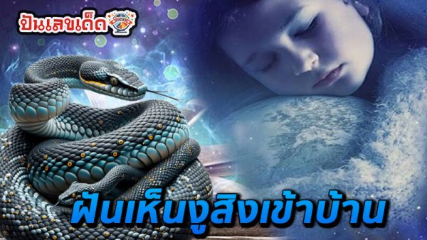 งูเข้าบ้าน ความเชื่อ-"Snake enters the house, beliefs"