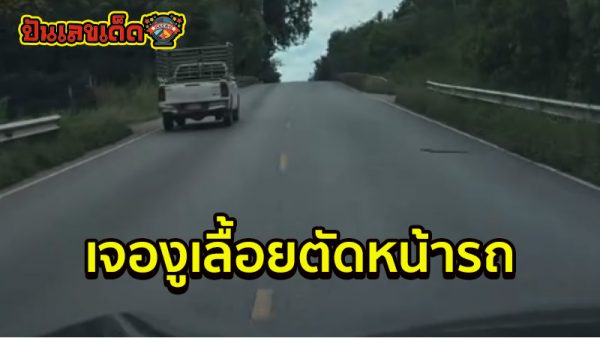 ฮาย อาภาพร เจองูเลื้อยตัดหน้ารถ-"Hi Apaporn encountered a snake slithering in front of the car."
