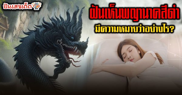 ฝันเห็นพญานาคสีดำ ลางดี หรือลางร้าย? ทำนายว่าอย่างไร? พร้อม “เลขเด็ด” ให้โชค แม่น ๆ เช็กเลย ฟรี !!!