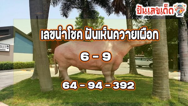 ฝันเห็นควายธนู-"Dream of seeing a buffalo"