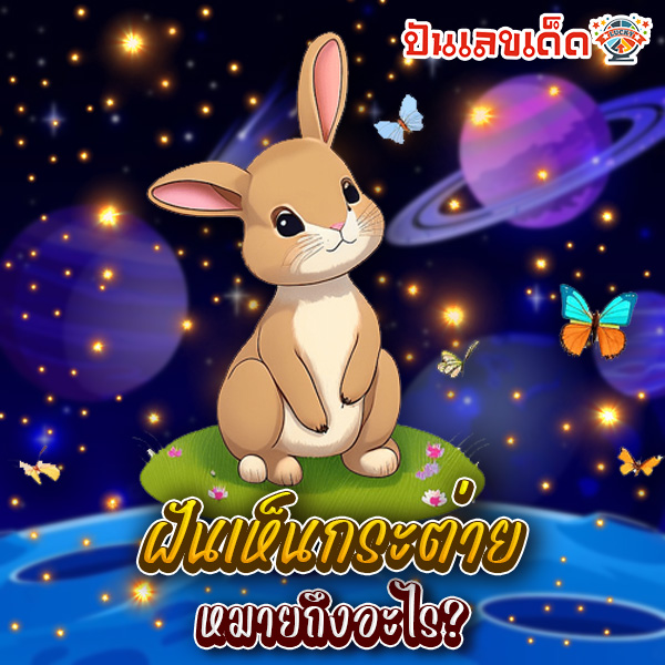 ฝันเห็นกระต่าย-"Dream of seeing a rabbit"