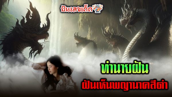 ฝันเห็นพญานาคสีดำ -"Dream of seeing the Naga."