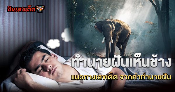 ฝันว่าช้างเหยียบ ทำนายความฝัน มีความหมายว่าอย่างไร พร้อม ส่องเลขเด็ดนำโชค เช็กฟรี !!