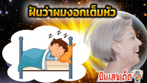 ฝันว่าผมงอกเต็มหัว-"Dreamed of pulling out my own gray hair."