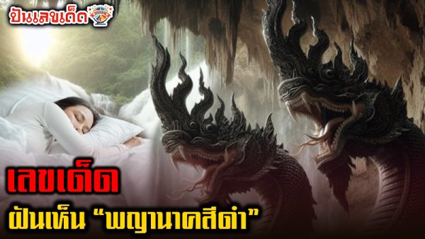 ฝันเห็นพญานาคเลขเด็ด -"Dreamed of seeing a lucky Naga serpent."