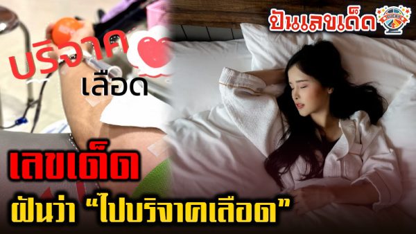 ฝันว่าไปบริจาคเลือด เลขเด็ด -"Dreaming about donating blood lucky number"