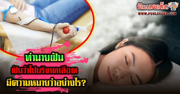 ฝันว่าไปบริจาคเลือด มีความหมาย ทำนายว่าอย่างไร? พร้อมเลขเด็ด แม่นๆ ที่เกี่ยวกับความฝัน เช็กเลย ฟรี!