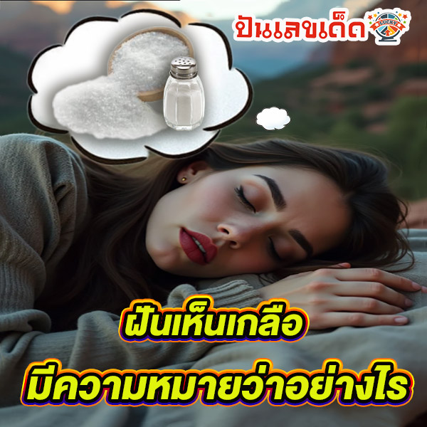 ฝันว่า ตัก เกลือ ใส่ ถุง -"Dreaming of scooping salt into a bag"