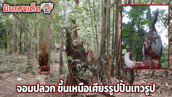 ปู่ให้โชค 5 งวด -"Grandfather gives luck"