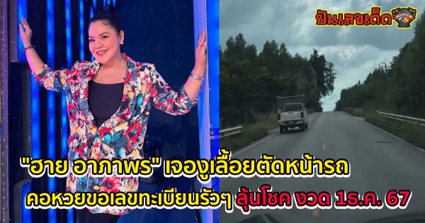 “ฮาย อาภาพร” เจองูเลื้อยตัดหน้ารถ เห็นชัดๆ เต็มตา คอหวยขอเลขทะเบียนรัวๆ