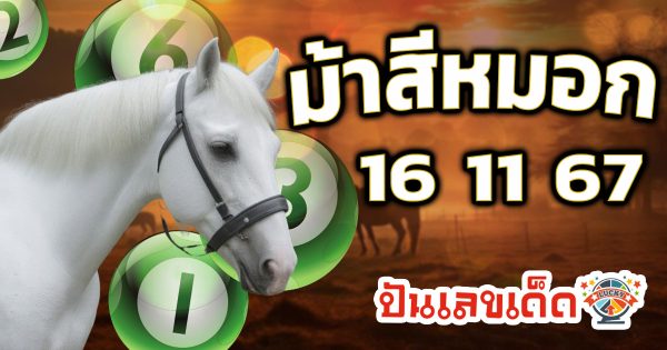 คอหวยห้ามพลาด !! ม้าสีหมอก 16 11 67 แนวทางหวยรัฐบาลไทยแม่นๆ รีบจดด่วน แจกฟรี ที่นี่