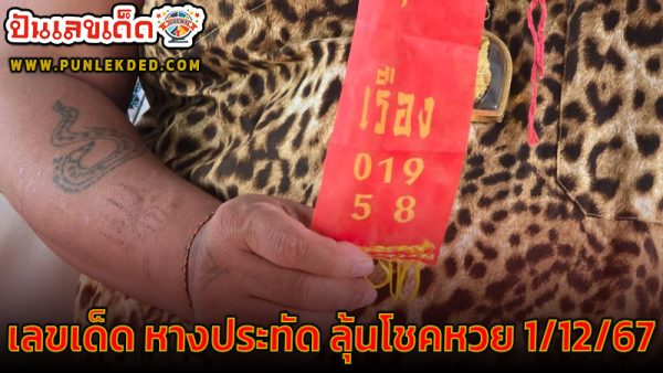 เลขหางประทัด -"firecracker tail number"