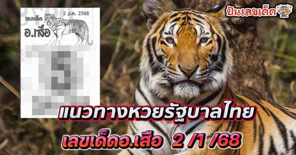 ปล่อยออกมาแล้ว!! อ.เสือ  2 01 68 แนวทางหวยรัฐบาลไทย เเม่น ๆ ที่คอหวย ห้ามพลาด !!