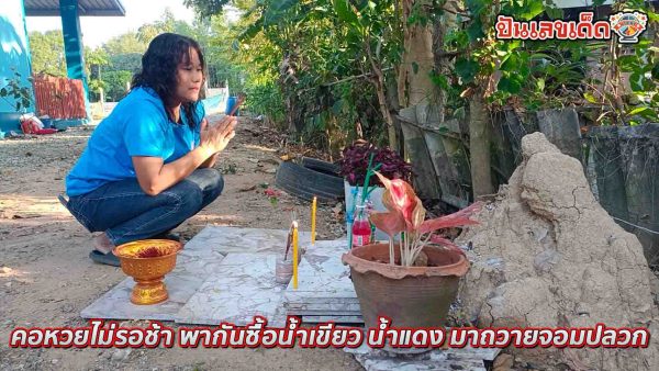 จอมปลวกหน้าคน-"An anthill with a human face"