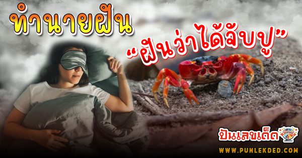 ฝันว่าไล่จับปู ลางดี หรือร้าย? ทำนายว่าอย่างไร? พร้อม “เลขเด็ด” ให้โชค แม่น ๆ เช็กเลย ฟรี !!!