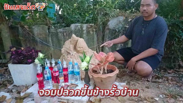 ฝันเห็นจอมปลวก-"Dream of seeing an anthill"