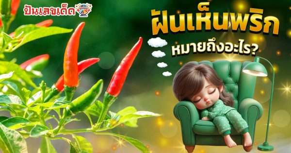 ฝันเห็นพริก หมายถึงอะไร? ทำนายฝันพร้อมเลขเด็ดให้โชค ห้ามพลาด เช็กเลย !!
