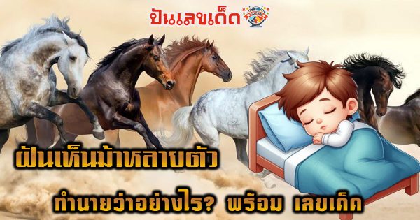 ฝันเห็นม้าหลายตัว ลางดี หรือร้าย? ทำนายว่าอย่างไร? พร้อม “เลขเด็ด” ให้โชค แม่น ๆ เช็กเลย ฟรี !!!