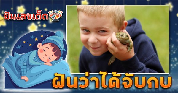 ฝันว่าได้จับกบ ทำนายว่าอย่างไร? พร้อมเลขเด็ด แม่นๆ ที่เกี่ยวกับความฝัน เเจกฟรี เช็กเลย !