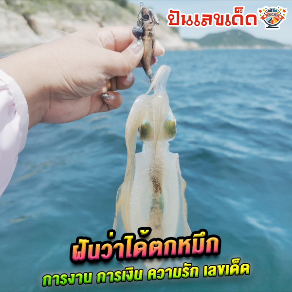 ฝันว่าได้ตกหมึก-"Dreamed of catching squid"