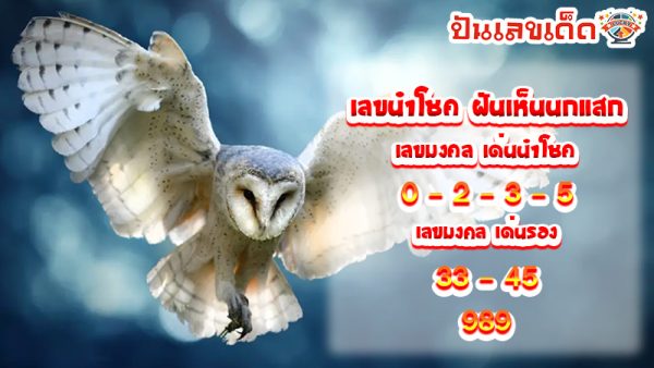 ฝันเห็นนกแสก2ตัว-"Dreamed of seeing 2 owls"