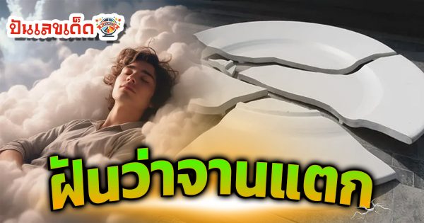 เปิดคำทำนาย ฝันว่าจานแตก หมายความว่าอย่างไร พร้อมเลขเด็ด แม่นๆ ห้ามพลาด เช็กเลย!