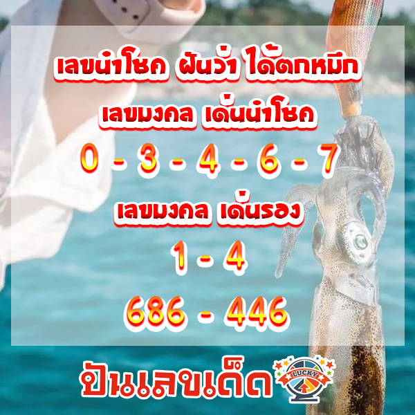 ฝันว่าตกปลาหมึกได้1ตัว-"Dreamed of catching 1 squid."