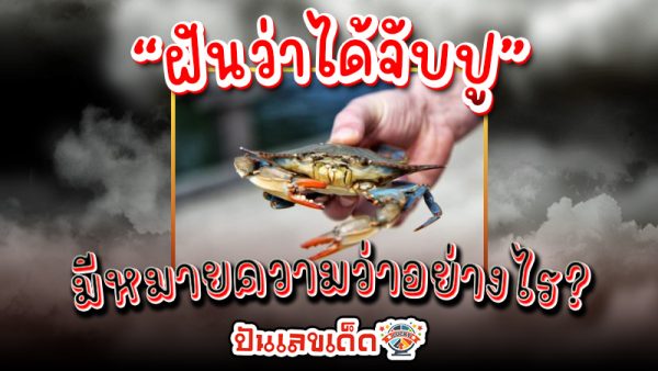 ฝันว่าไล่จับปู -"Dreaming of catching crabs."