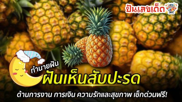 ฝันเห็นสับปะรด-"Dreaming of pineapple"