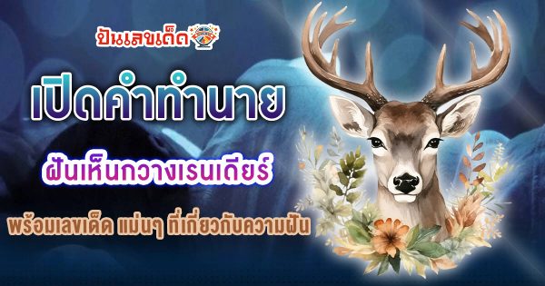 เปิดคำทำนาย ฝันเห็นกวางเรนเดียร์ ทำนายว่าอย่างไร? พร้อมเลขเด็ด แม่นๆ ที่เกี่ยวกับความฝัน เเจกฟรี เช็กเลย !