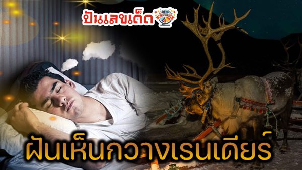 ฝันเห็นกวางเรนเดียร์ - "Dreaming of reindeer"