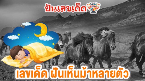 ฝันว่าขี่ม้าตัวใหญ่-"Dreaming of riding a big horse"