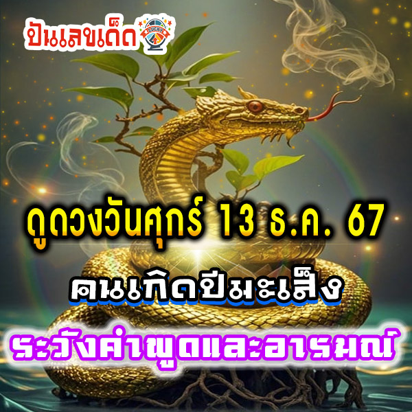 ดูดวงวันนี้ 13/12/67-"Today's horoscope 13/12/67"