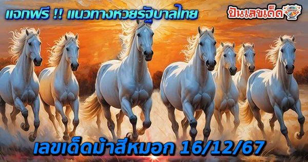 ปล่อยออกมาแล้ว เลขเด็ดม้าสีหมอก 16 12 67 แนวทางหวยรัฐบาลไทยแม่นๆ คอหวยรีบจดด่วน แจกฟรี !!!