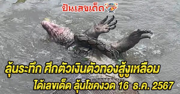 ลุ้นระทึก ศึกตัวเงินตัวทองสู้งูเหลือม ได้เลขเด็ด กอดรัดฟัดเหวี่ยงลอยน้ำผ่านร้านอาหาร ลุ้นโชคงวด 16 ธันวาคม 2567