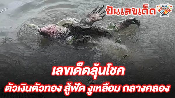 เลขเด็ด ที่สุดในโลก-"The best lucky number in the world"