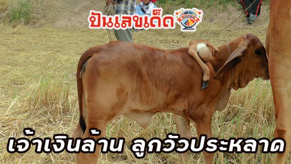 เลขเด็ดที่สุดในโลก-"The best number in the world"