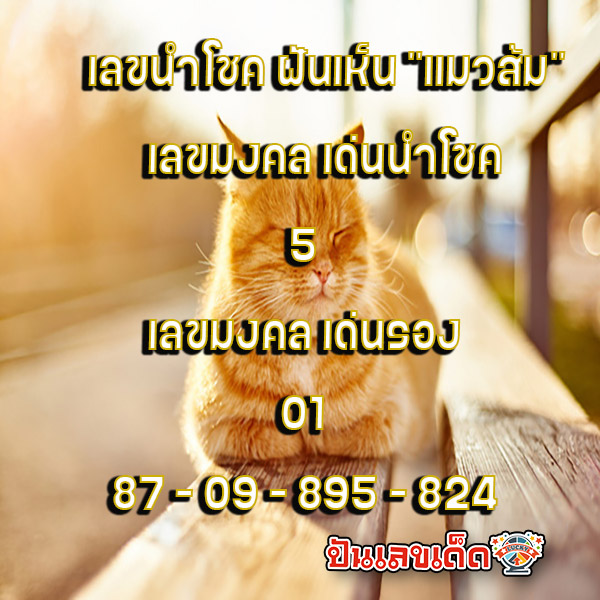 ทำนาย - "predict"