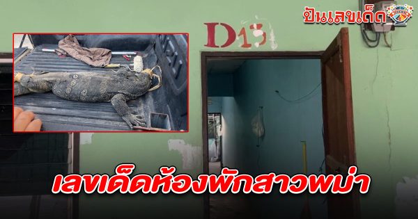 ตัวเงินตัวทองยักษ์วิ่งเข้าบ้าน-"A giant goldfish ran into the house."