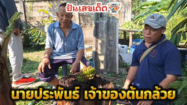 เลขเด็ดแม่น ๆ-"Accurate lucky numbers"