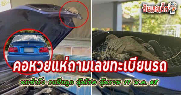ห้ามพลาด!! คอหวยแห่ถามเลขทะเบียน ลุ้นโชค 17 ม.ค. 68 เจ้าของใจดี ไม่กล้าขับรถนานร่วมเดือน หลังแม่นกบินมาทำรังกกไข่ รอฟักลูก