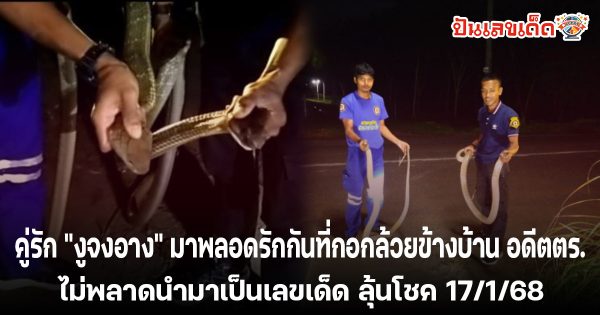 คู่รัก “งูจงอาง” บุกบ้านอดีตตร. อึ้งตรงบ้านเลขที่บองหลาบุกก่อนหน้านี้ ห้ามพลาดส่องเลขเด็ดลุ้นโชค งวด 17/1/68